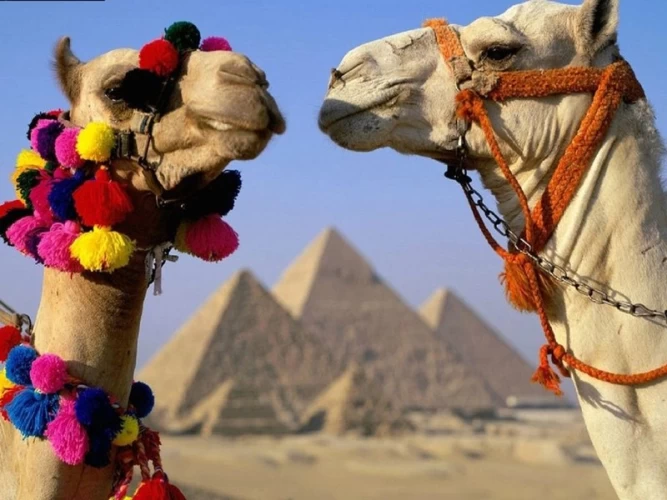 Cairo Full-Day from Aswan & Overnight  stay hotel in Cairo