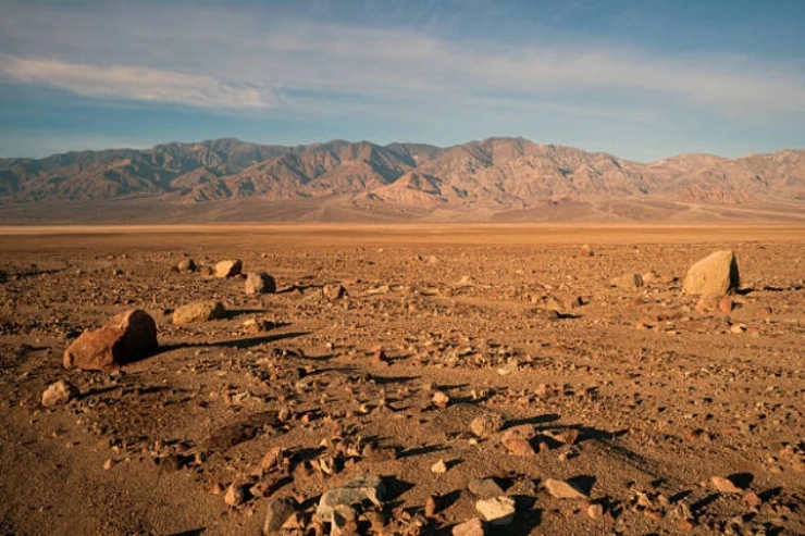 8 jours de safari dans le désert occidental