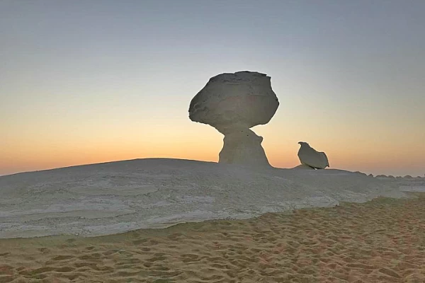 Circuit de deux jours dans l'Oasis de Bahariya et le désert blanc