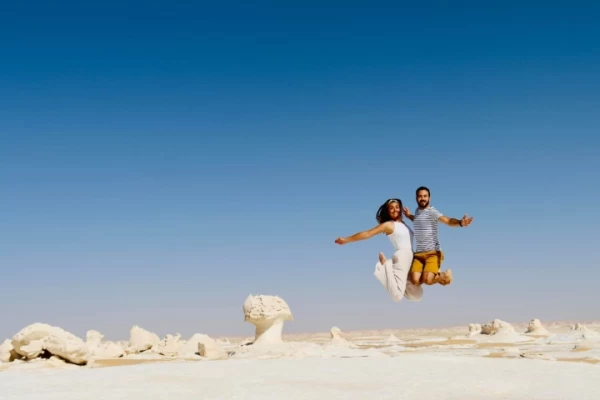 Majestic Desert Safari Tour to Bahariya Oasis and the White Desert