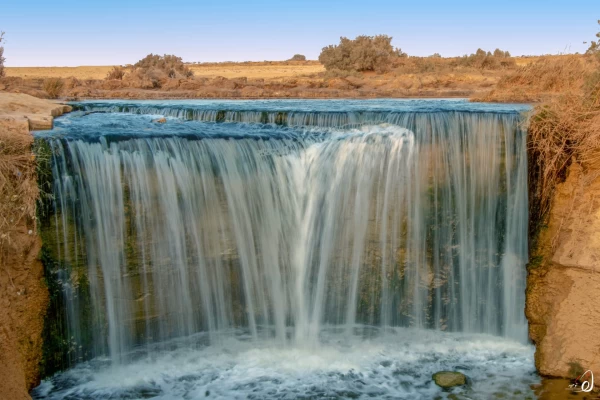 Tour di lusso nel deserto all'Oasi di Fayoum dal Cairo