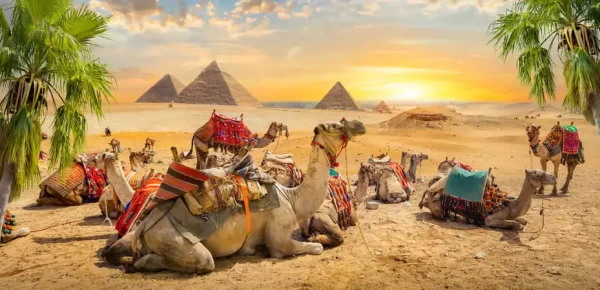 Egypt Day Tours from US