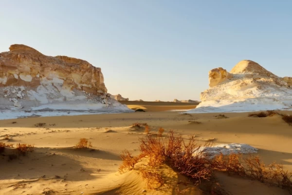 Safari di 3 giorni all'Oasi di Bahariya e al Deserto Bianco