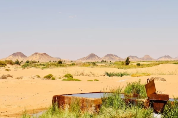 Tour economico di 2 giorni delle Oasi di Bahariya e del Deserto Bianco | Tour delle Oasi di Bahariya