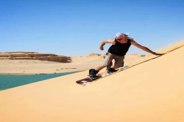 Escursione di un giorno Safari nel deserto a Wadi El Rayan e Wadi Hitan