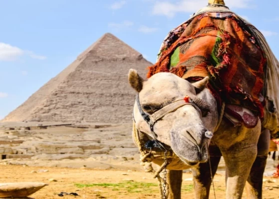 Cairo Short Breaks Packages from USA