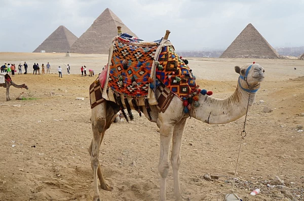 Circuit de 12 jours avec accès aux pyramides et à Sharm El Sheikh