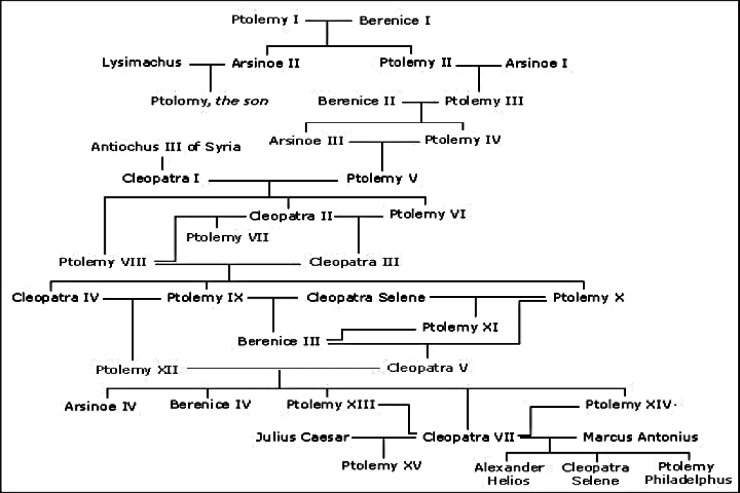 Ptolemy kings in Egypt from (VIIII - XII)