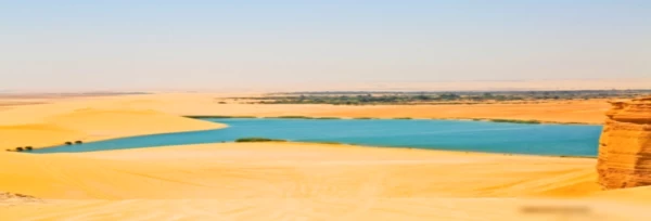 Circuit de 2 jours à l'oasis de Paris depuis Louxor