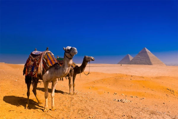 A majestic experience tour from Egypt to Dubai