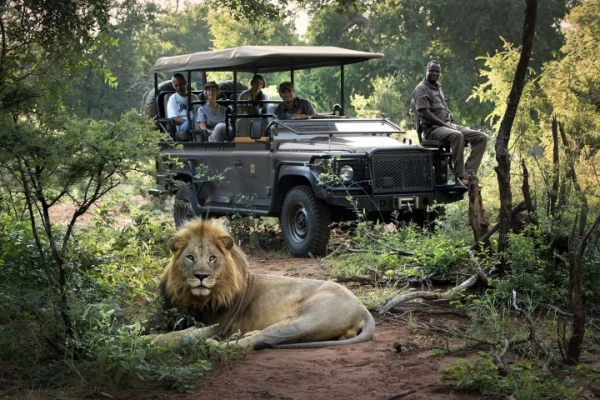 Increíbles safaris por África