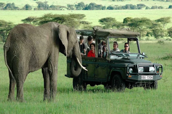 Eine aufregende Safari-Tour in Kenia