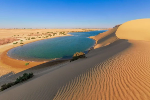 Desert Camping Trip to Wadi El Hitan from Turkey