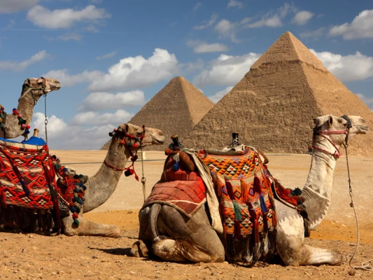 Explore Egypt's Best in 7 Days with Our Cairo, Alexandria, Luxor & Aswan