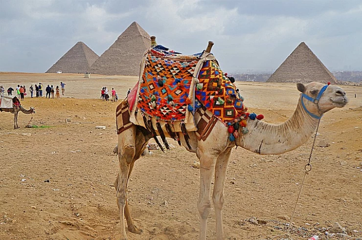 Rollstuhlgerechte Tour zu den Pyramiden und zur Sphinx von Gizeh